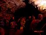 DSC00315.jpg