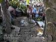 maui9c.jpg